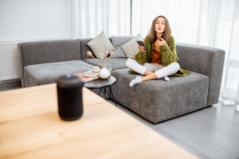 Read more about the article Voice Assistants And Home Automation